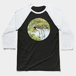 bird in the water in Venezuela Baseball T-Shirt